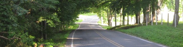 COMMERCIAL TRAFFIC PROHIBITED: MEGA-RESORT PERMITTED?